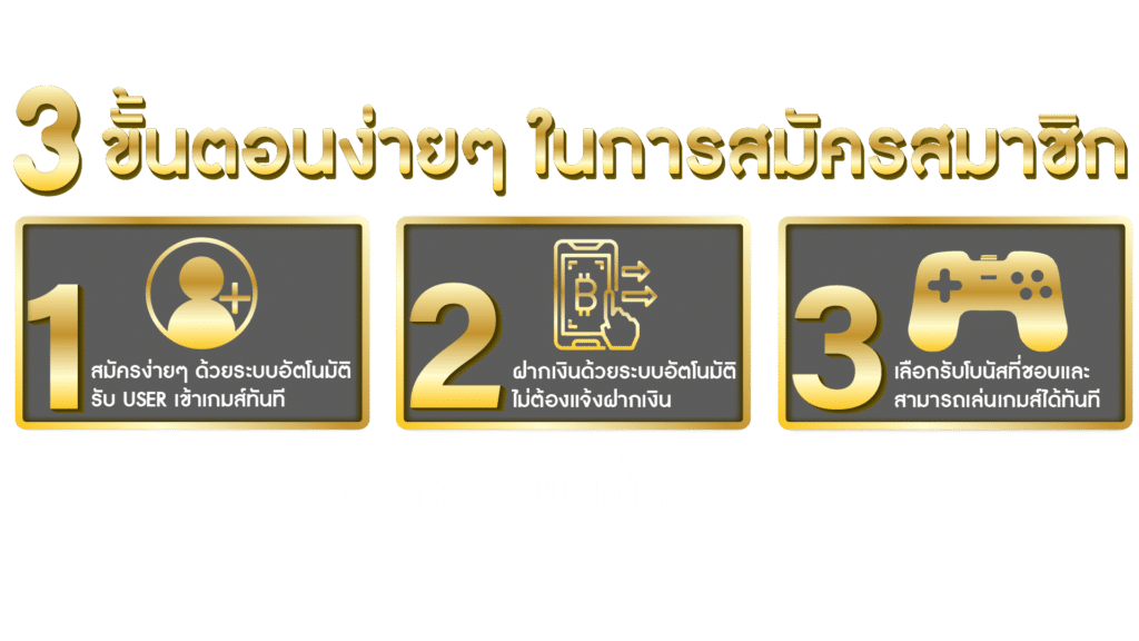 เเนะนำ ผู้ใช้